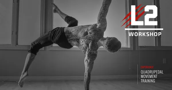 Handstand Progression Workshop: Level Up Your Handstand Skills